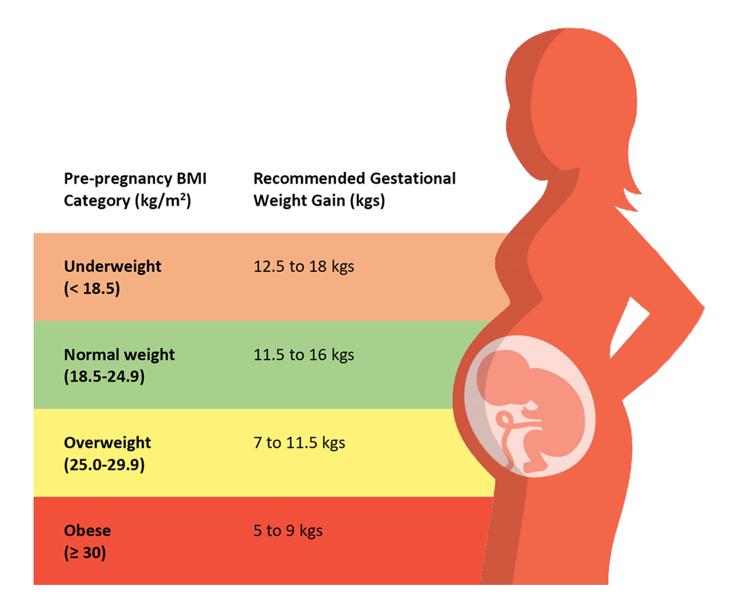 Diet Thearpy For Pregnancy And Lactation For Best Outcomes Diet4all