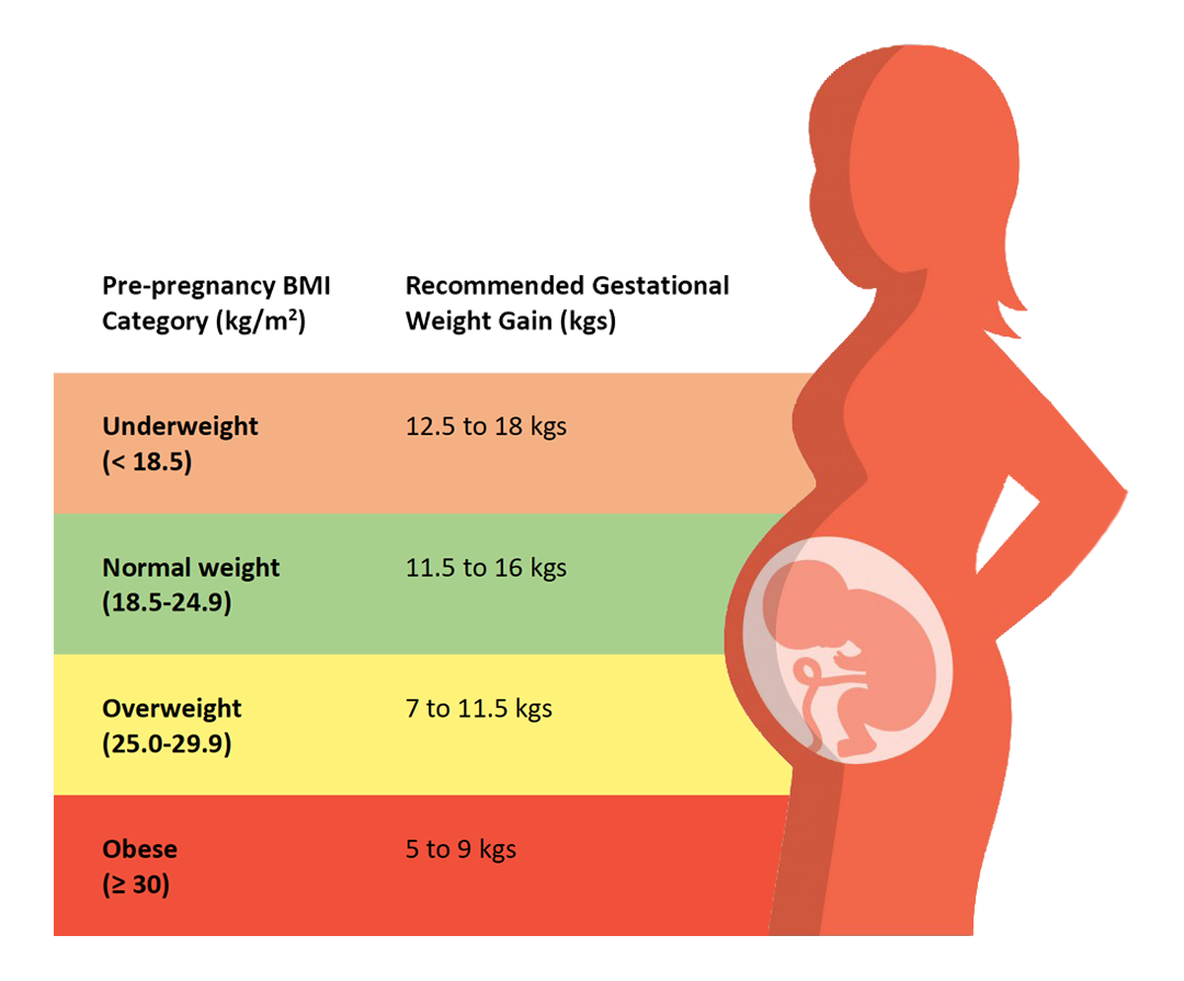 Diet Thearpy For Pregnancy & Lactation | For Best Outcomes | Diet4all